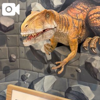 到着!(`・ω・´)ノ