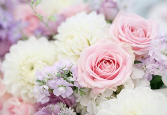 初めまして🌷´-