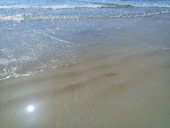 🌊💙