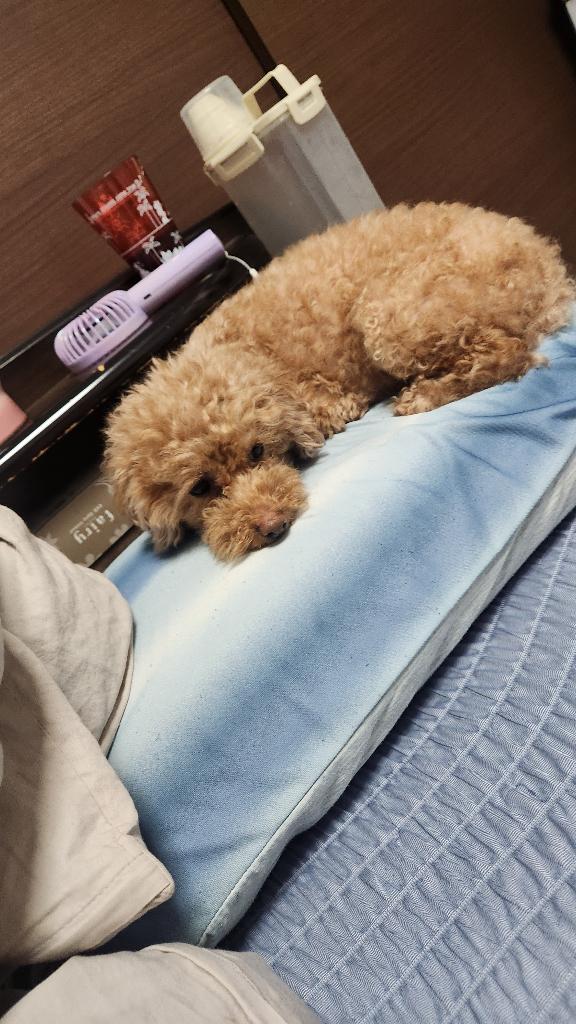 悶絶‪💕︎︎