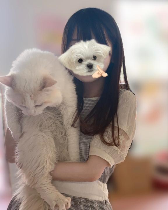 ぽむぽむ૮ ･ ·̫ ･ ა