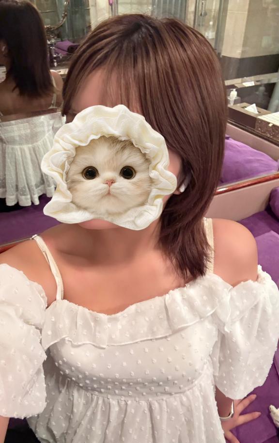 出勤🐥