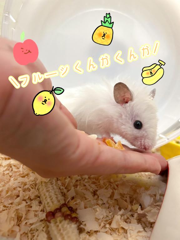 写メ日記サムネイル