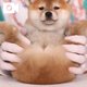 知る人ぞ知る貴賓室1室限定 マダムこだわりの 超ーーー超！VIPルーム✨
