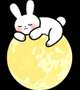 おやすみなさい🌛*゜