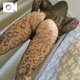 🔴6日目/10(木)まで出勤🔴