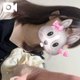 きょうも🥛