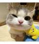 出勤😼