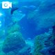 水族館