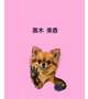 可もなく不可もなく
