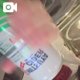 ギャルしべ長者がすきです
