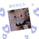 昨日は❤️ありがとう💝