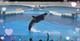 須磨シーワールド🐬