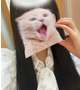 次回🈳枠