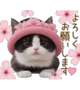 あっついけど