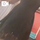 お久しぶり