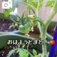 おはようございます♡