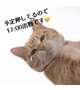 予定通りに進むことがない！
