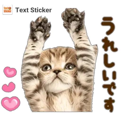 田辺ちあきの写真メ日記