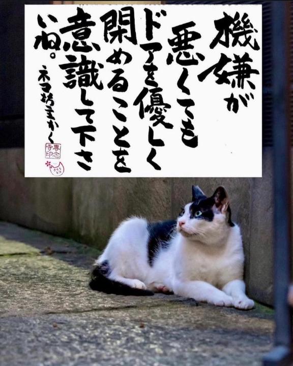 片山はるこの写真メ日記