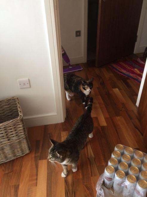 水原まなみの写真メ日記