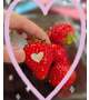 美味しい🍓