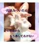 本日残り１枠🌸