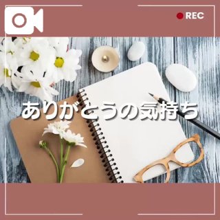 ももの写真メ日記