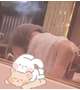 日頃の感謝🙏´-