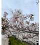 ４月
