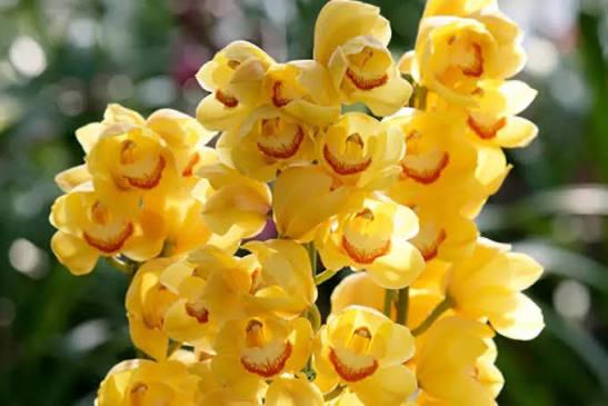 ききCAの写真メ日記