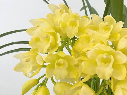 ききCAの写真メ日記