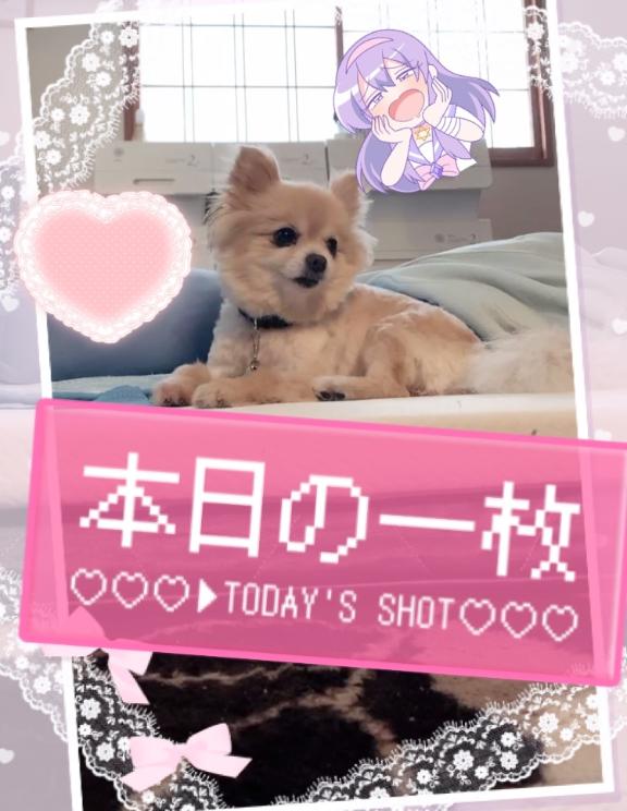 写メ日記サムネイル