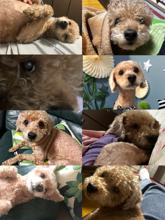 写メ日記サムネイル