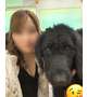 大型犬カフェに