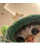 本日から完全復活です✨️