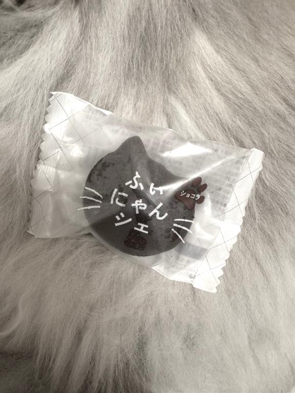 ふぃにゃんシェ