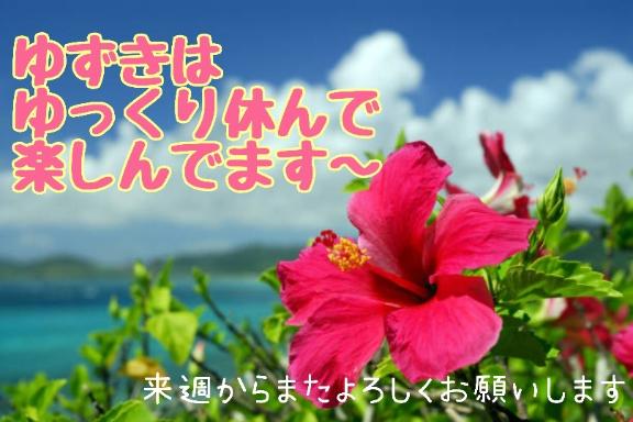 🫧楽しく遊んで、休んでます🫧