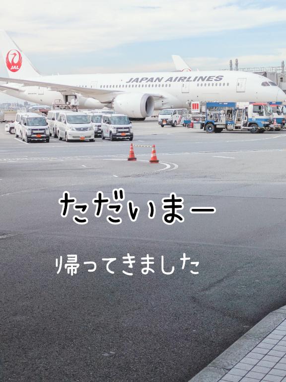 ただいまー✈️ゆずき