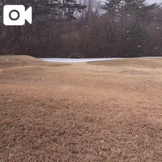 ☆☆寒さのお裾分け〜☆☆