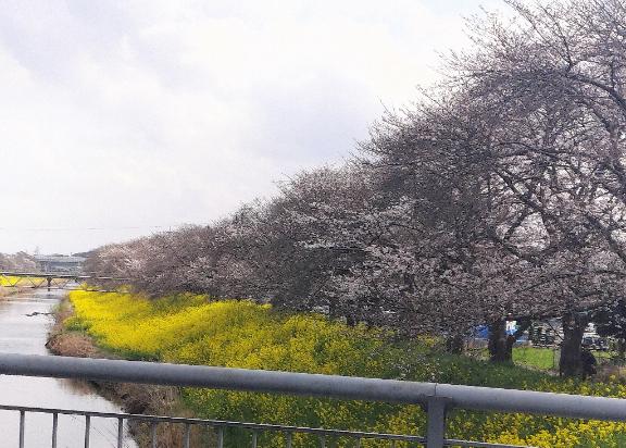 ☆☆ご本指名さまDay〜☆☆