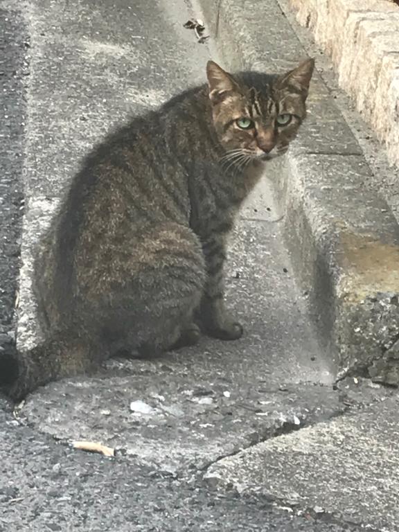 🐝⋆゜おはようございます♡