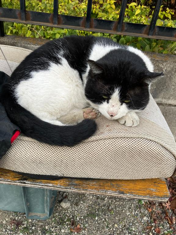 🐝⋆゜おはようございます♡