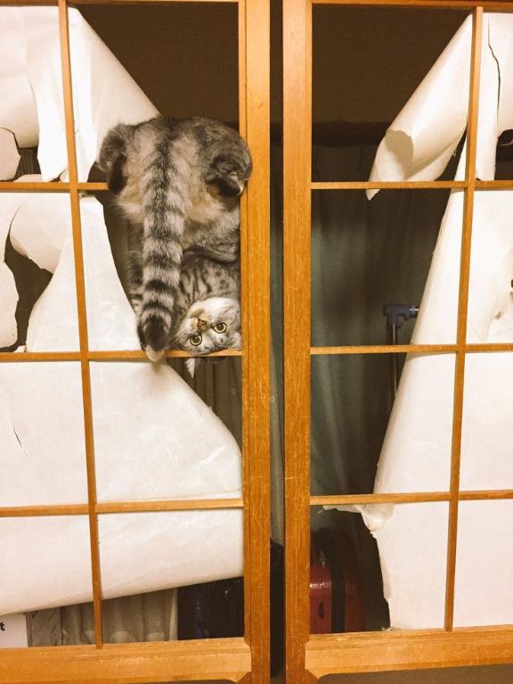 [お題]from:常連さんと呼ばれたいさん