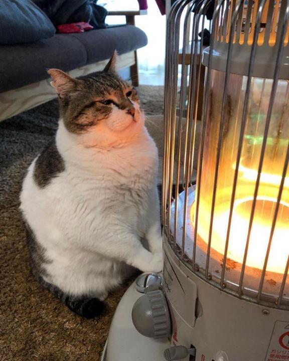 [お題]from:はいてますよ！さん