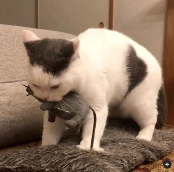 [お題]from:アヒルさん