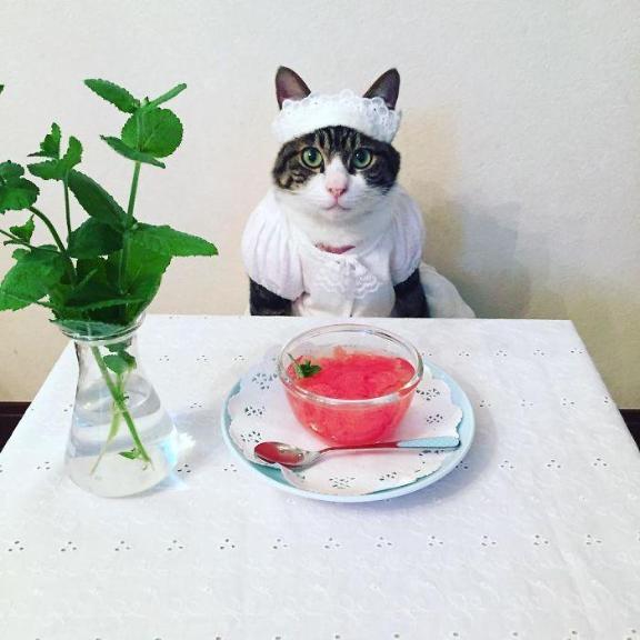 [お題]from:カッコヨさん