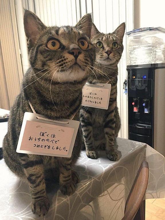 [お題]from:チョコ派さん