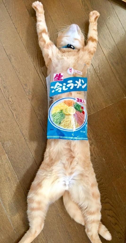 [お題]from:鍋奉行さん