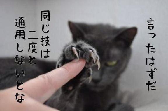 [お題]from:米さん